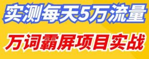 百度万词霸屏实操项目引流课，30天霸屏10万关键词-晟哥学社资源库