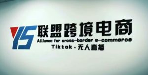 YS联盟·Tiktok无人直播,不出镜不剪辑不拍摄不发货无售后的跨境短视频躺赚玩法-晟哥学社资源库