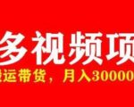 多多带货视频快速50爆款拿带货资格，搬运带货，月入30000【全套脚本+详细玩法】-晟哥学社资源库