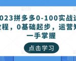 2023拼多多0-100实战运营教程,0基础起步,运营知识一手掌握-晟哥学社资源库
