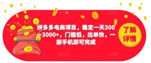 2023拼多多电商项目，稳定一天300～3000+，门槛低，出单快，一部手机即可完成-晟哥学社资源库