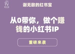 谢无敌·小红书运营大宝典,从0带你做个赚钱的小红书IP-晟哥学社资源库