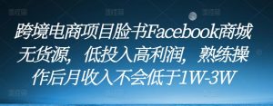 跨境电商项目脸书Facebook商城无货源,低投入高利润,熟练操作后月收入不会低于1W-3W-晟哥学社资源库