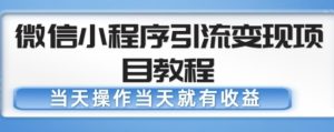 微信小程序引流变现项目教程，当天操作当天就有收益，变现不再是难事-晟哥学社资源库