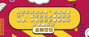 拼多多实战宝典“初级到高手”，新手小白必看拼多多课程，带你全方位解读拼多多各种玩法-晟哥学社资源库