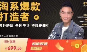 锋投老叶全店动销，淘系干货汇总，各种玩法，淘系爆款打造者-晟哥学社资源库