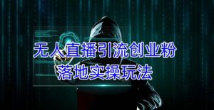 外面收费3980的无人直播引流创业粉落地实操玩法，单日引100+精准创业粉-晟哥学社资源库