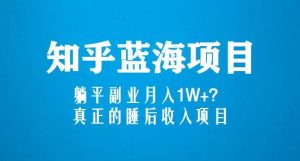 知乎蓝海玩法,躺平副业月入1W+,真正的睡后收入项目(6节视频课)-晟哥学社资源库