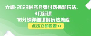 大炮·2023拼多多强付费最新玩法，3月新课​78分钟详细讲解玩法流程-晟哥学社资源库