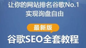 谷歌SEO实战教程：如何让你的网站在谷歌排名第一，内容从入门到高阶，适合个人及团队-晟哥学社资源库