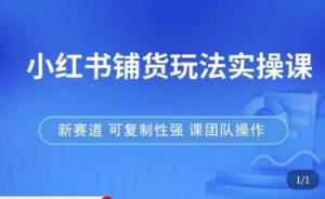 小红书铺货玩法实操课，流量大，竞争小，非常好做，新赛道，可复制性强，可团队操作-晟哥学社资源库