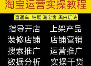 2023淘宝开店教程0基础到高级全套视频网店电商运营培训教学课程-晟哥学社资源库
