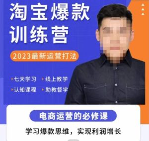 爱上黄昏·淘宝爆款训练营，2023最新运营打法，学习爆款思维，实现利润增长-晟哥学社资源库