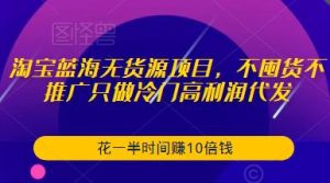 淘宝蓝海无货源项目，不囤货不推广只做冷门高利润代发，花一半时间赚10倍钱-晟哥学社资源库