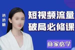 2023最新透糖短视频流量破局必修课——商家必学-晟哥学社资源库