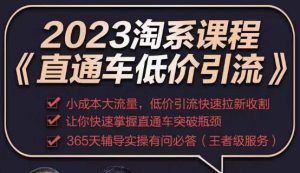 2023直通车低价引流玩法课程，小成本大流量，低价引流快速拉新收割，让你快速掌握直通车突破瓶颈-晟哥学社资源库