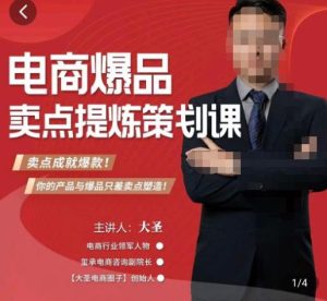 大圣·电商标品爆款卖点策划课，标品卖点成就爆款，可落地卖点提炼课-晟哥学社资源库