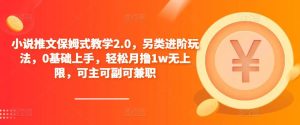 小说推文保姆式教学2.0，另类进阶玩法，0基础上手，轻松月撸1w无上限，可主可副可兼职-晟哥学社资源库