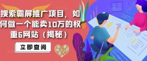 搜索霸屏推广项目，如何做一个能卖10万的权重6网站（揭秘）-晟哥学社资源库