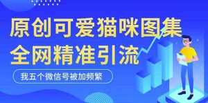 黑科技纯原创可爱猫咪图片，全网精准引流，实操5个VX号被加频繁-晟哥学社资源库
