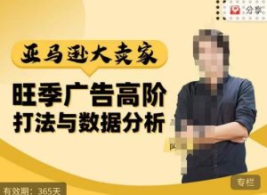 阿甘·亚马逊大卖家广告高阶打法与数据分析,走出传统广告误区;揭秘大卖惯用打法;数据驱动广告决策-晟哥学社资源库