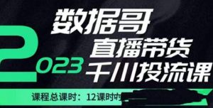 数据哥2023直播电商巨量千川付费投流实操课,快速掌握直播带货运营投放策略-晟哥学社资源库