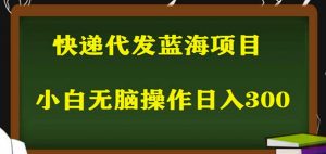 2023最新蓝海快递代发项目，小白零成本照抄也能日入300+-晟哥学社资源库