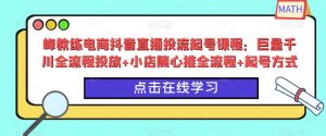 峰教练电商抖音直播投流起号课程:巨量千川全流程投放+小店随心推全流程+起号方式-晟哥学社资源库