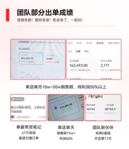 2023小红书电商火爆全网,新晋红利,风口项目,单店收益在3000-30000!-晟哥学社资源库