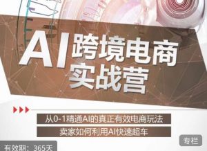 白龙老师·AI跨境电商实战营:从0-1精通Al的真正有效电商玩法,卖家如何利用Al快速超车-晟哥学社资源库