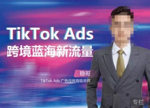 稳哥·如何投出高ROI的TikTok广告，开拓独立站卖家流量新蓝海-晟哥学社资源库