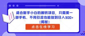 适合新手小白的搬砖项目，只需要一部手机、不用引流也能做到日入300+【揭秘】-晟哥学社资源库