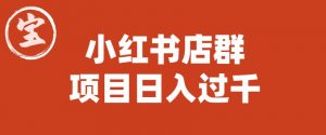 宝哥小红书店群项目,日入过千(图文教程)【揭秘】-晟哥学社资源库