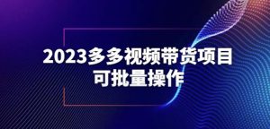 2023多多视频带货项目,可批量操作【保姆级教学】【揭秘】-晟哥学社资源库