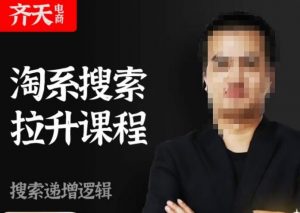 齐天电商·淘系搜索提升课程，​搜索递增标准化，动销标准化流程-晟哥学社资源库