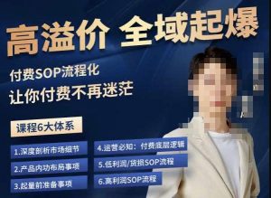 逸风-拼多多高溢价全域起爆，6大课程体系，付费玩法全套实操-晟哥学社资源库