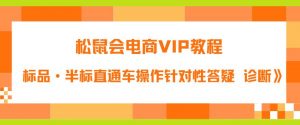 松鼠会电商VIP教程：松鼠《付费推广标品·半标直通车操作针对性答疑&诊断》-晟哥学社资源库