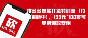 拼多多爆款打造特训营（持续更新中)，199元*100套可复制爆款案例-晟哥学社资源库