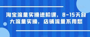 淘宝流量实操进阶课,8-15天放大流量实操,店铺流量不用愁-晟哥学社资源库