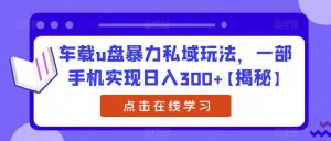 车载u盘暴力私域玩法,一部手机实现日入300+【揭秘】-晟哥学社资源库