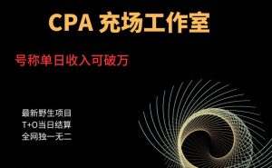 cpa充场工作室，号称单日收入10000+（揭秘）-晟哥学社资源库