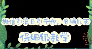 微信互推圈半自动引流方案，矩阵操作日引千人思路【详细视频教程】-晟哥学社资源库