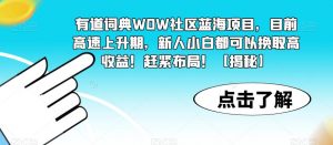 有道词典WOW社区蓝海项目，目前高速上升期，新人小白都可以换取高收益！赶紧布局！【揭秘】-晟哥学社资源库