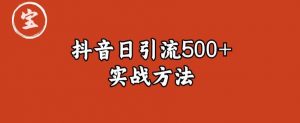 宝哥抖音直播引流私域的6个方法，日引流500+-晟哥学社资源库