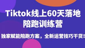 Tiktok线上60天落地陪跑训练营，独家赋能陪跑方案，全新运营技巧干货-晟哥学社资源库