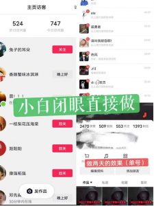 一天做完别一辈子的视频制作最近很火的《1000个野路子信息差》100%过原创【揭秘】-晟哥学社资源库