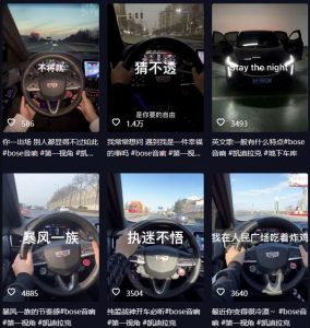 抖音开车视频项目，0基础操作，每天五分钟，月入1W+【揭秘】-晟哥学社资源库