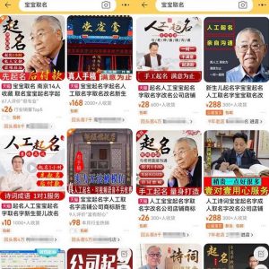 拆解小红书宝宝起名虚拟副业项目,一条龙实操玩法分享给你(教程+软件)-晟哥学社资源库