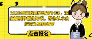 2023淘宝数据化运营14式,深度解析数据化知识,帮你从小白成长为高级运营-晟哥学社资源库