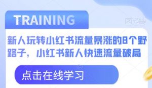 新人玩转小红书流量暴涨的8个野路子，小红书新人快速流量破局-晟哥学社资源库